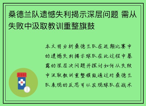 桑德兰队遗憾失利揭示深层问题 需从失败中汲取教训重整旗鼓