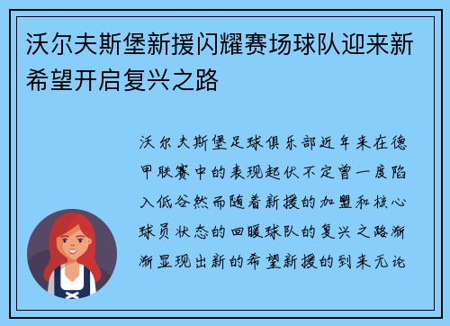 沃尔夫斯堡新援闪耀赛场球队迎来新希望开启复兴之路