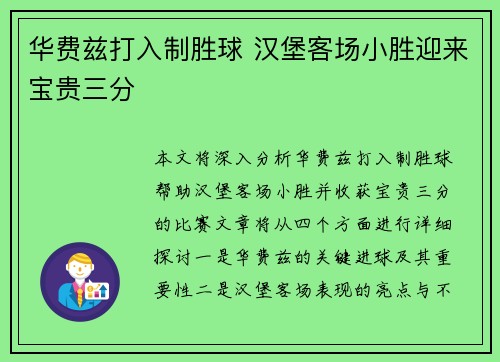 华费兹打入制胜球 汉堡客场小胜迎来宝贵三分