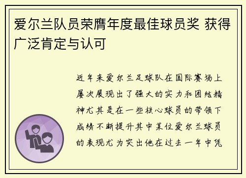 爱尔兰队员荣膺年度最佳球员奖 获得广泛肯定与认可