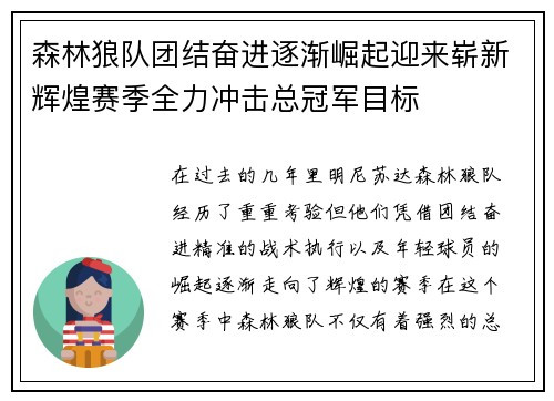 森林狼队团结奋进逐渐崛起迎来崭新辉煌赛季全力冲击总冠军目标